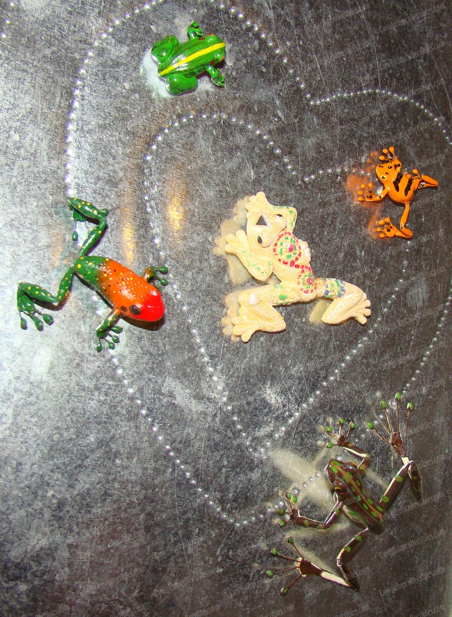 Frog's Frog's Frog's Magnet Set (5-Pieces) Colorful, Flexable | eBay