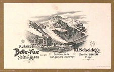 Kurhaus Belle-Vue Hotel Des Alps Prop. Adolf Seiler Meyringen Litho Trade Card