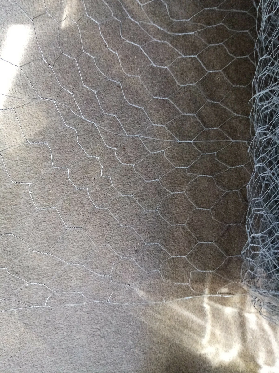 B Q Used Hexigan Silver Chicken Wire mesh H 23in L 360in