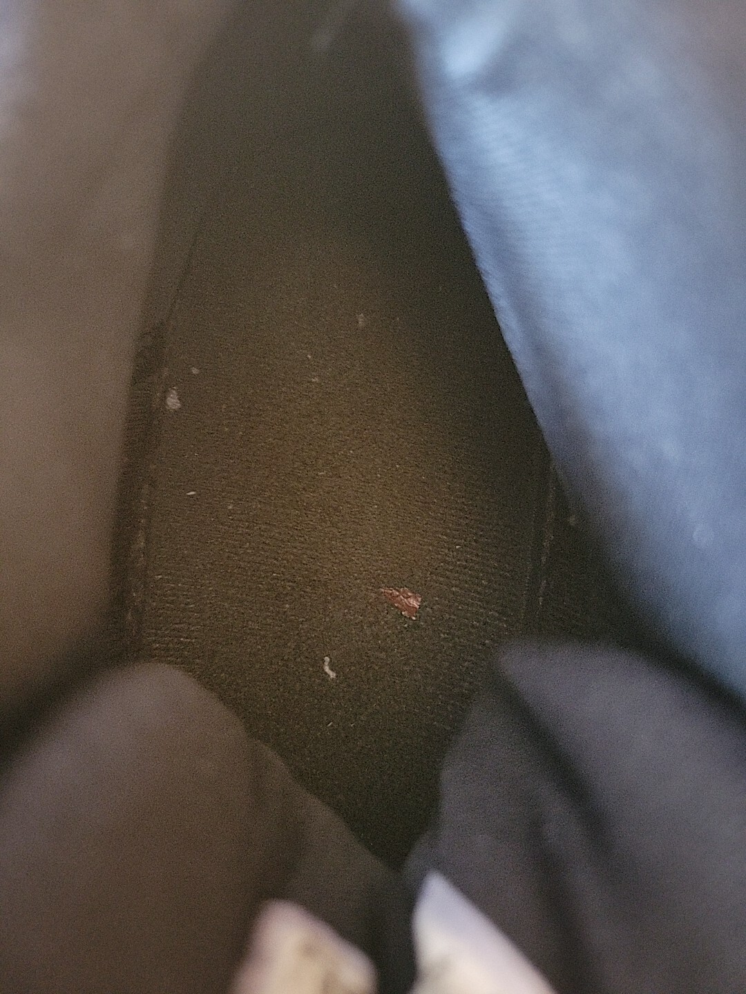 Picture 16 of 22