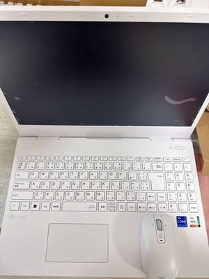 NEC LAVIE N1570GAW Core i7-1165G7 2,8GHz RAM 16GB SSD 256GB 15,6 Zoll Win 11 ...