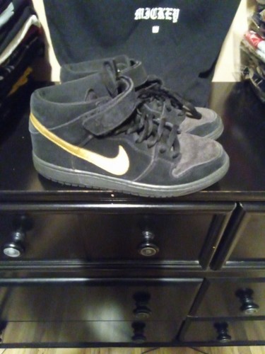 NIB Nike Dunk Mid Pro SB \