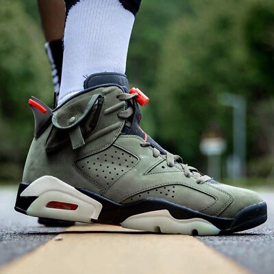 cactus jordan 6