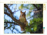Calvendo Puzzle EichhöRnchen Zwischen Den LäRchenzweigen | 1000 Teile Lege-GrößE