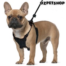 harness to stop pulling