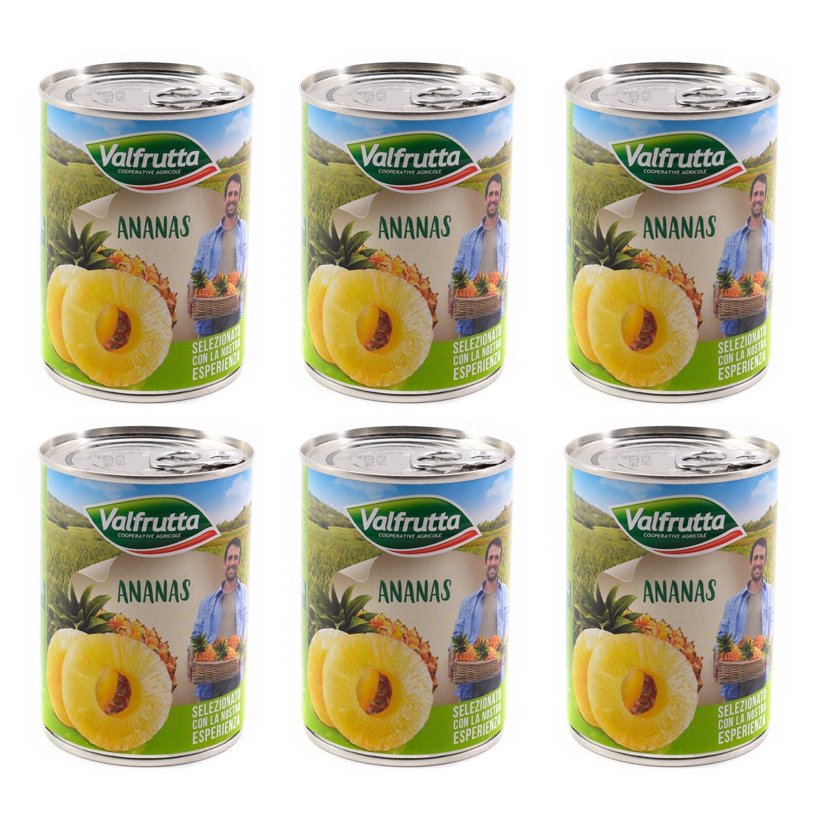 6 pz Valfrutta Ananas allo Sciroppo frutta sciroppata barattolo lattina 565g
