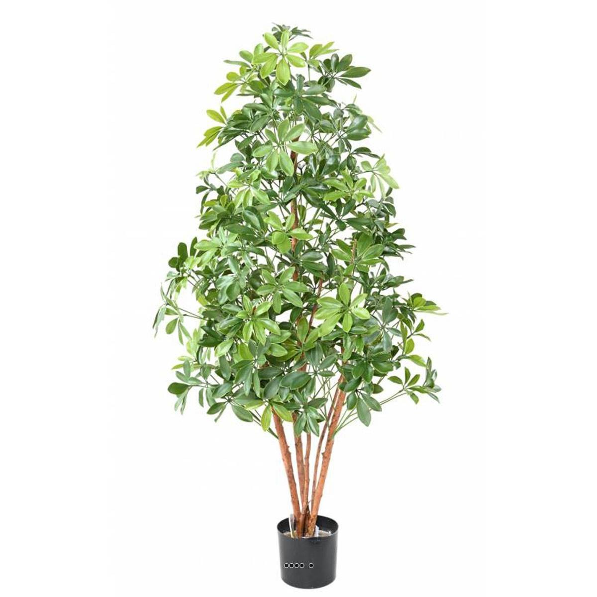 Choisya artificiel extérieur H 150 cm pour aménager une terrasse ombragée