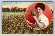 VINTAGE GROWING BUCKBEES FULL OF LIFE ROCKFORD SEED FARMS POSTCARD IF