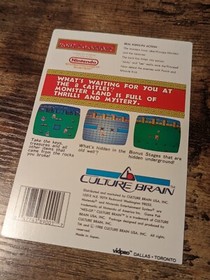 Kay Bee Toys R Us Authentic Vidpro Card Kung Fu Heroes NES Nintendo