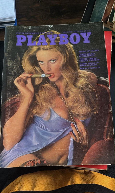 Playboy Magazine November 1973 Issue, English Language, Men's Genre Publication