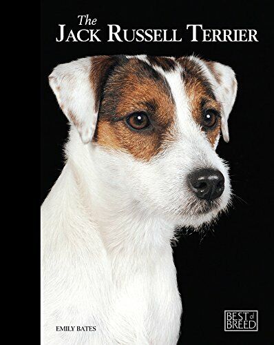 Jack Russell Terrier (Best of Breed) by Emily Bates Hardback Book The Fast Free - Picture 1 of 2