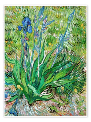 Iris Blumen Grün Farbe Van Gogh Retro Poster Druck Wanddeko Kunst Bild A4