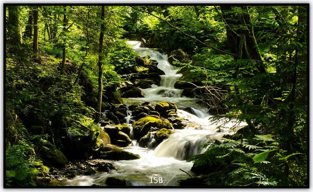 Bild 20 von 29