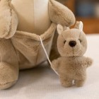 Bild 4 von 8