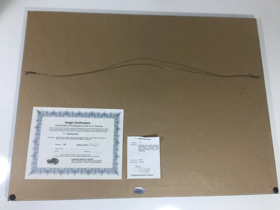 Mervin D Coleman Waxwing Frenzy Image Coleman Gallery Studio Red Lodge Montana - Image 4 of 4