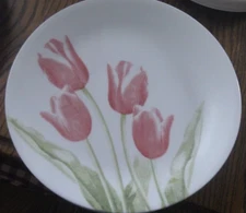Corelle TULIP BOUQUET: Dinner Plate Set Of 5  10.25"                          M5