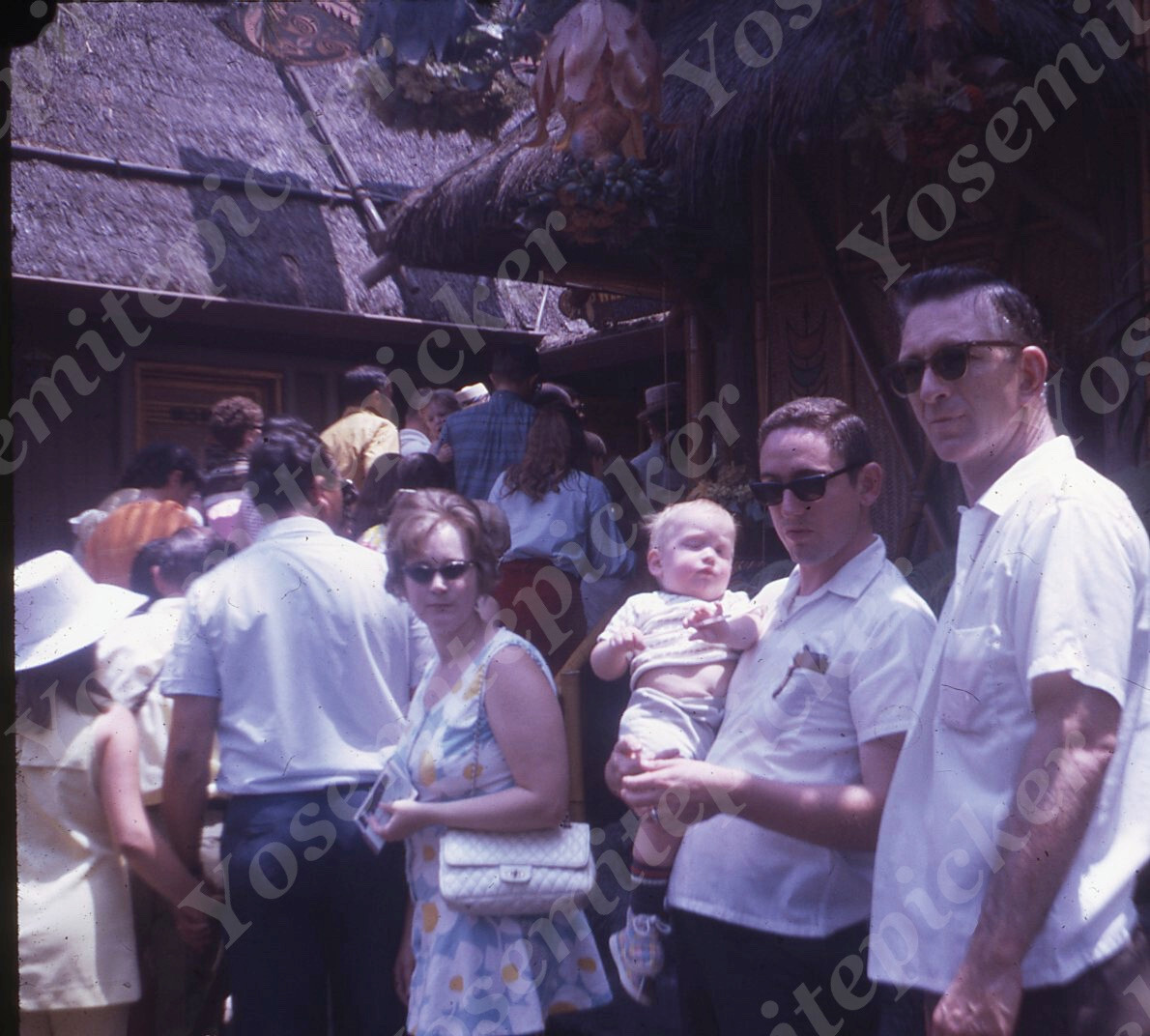 SL04 Original Slide 1970's Disneyland Tiki Room 321a | eBay