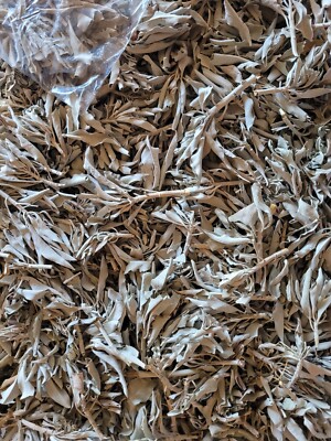 Loose White Sage, leaves and stems. 1/4 lb (4oz)