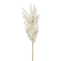 KüNstlicher Riedgraszweig, 5Er Set, Farbe Weiß, HöHe Ca. 64 Cm