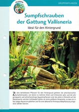 Sump screws of the genus Vallisneria / aquarium info card