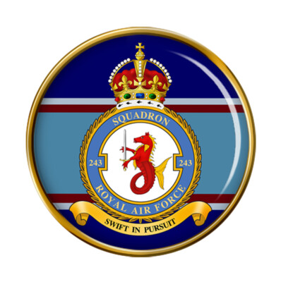 243 Squadron, RAF Anstecknadel
