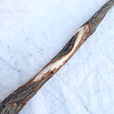 59" Diamond Willow Carving Wood Blank Walking Stick Nice