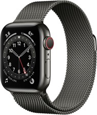 Apple Watch Series 6 40mm Gehäuse mit Milanaise Armband - Graphit  Edelstahl, Regular (GPS + Cellular) (M06Y3FD/A) online kaufen | eBay