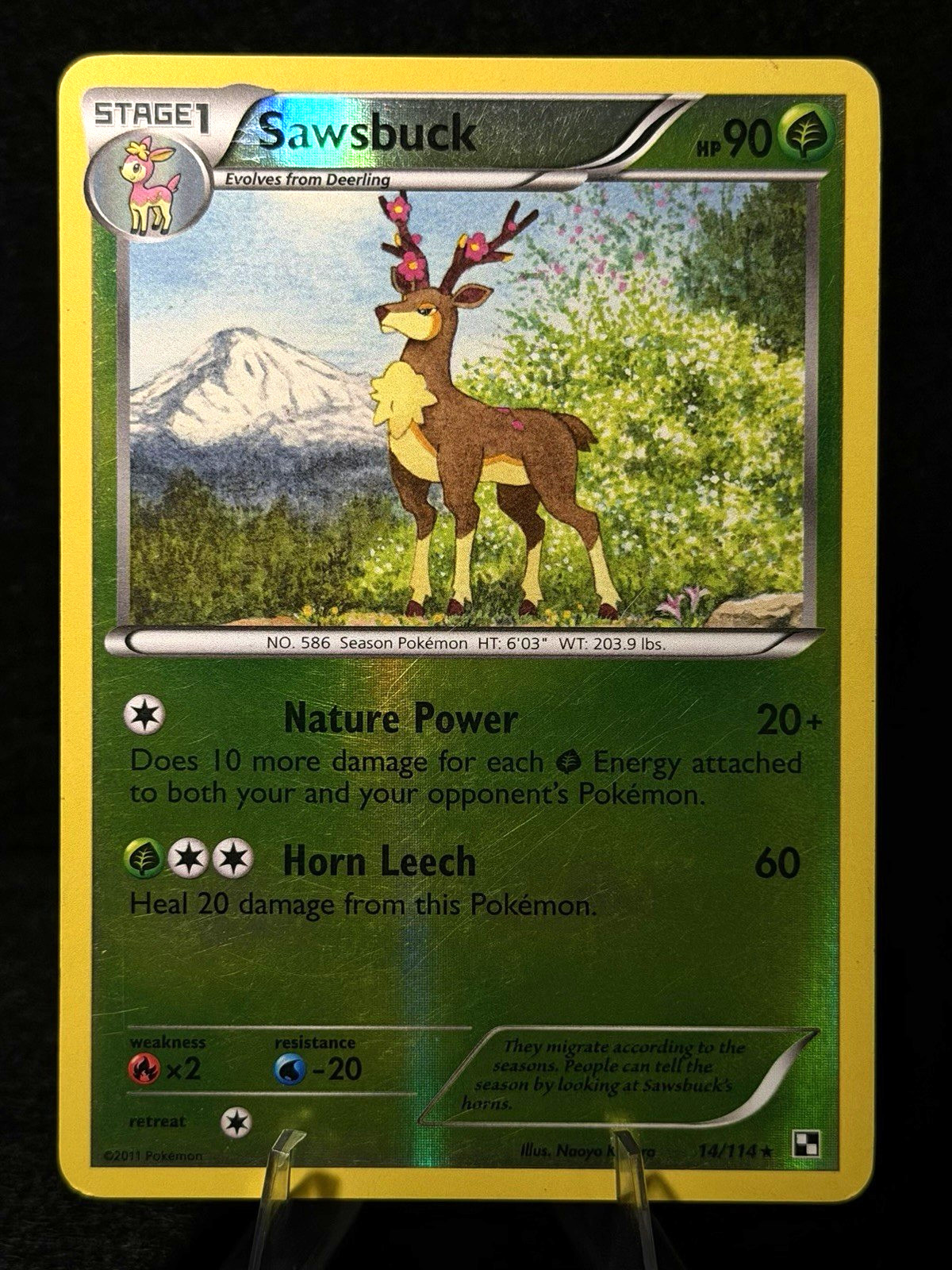 Pokemon TCG Sawsbuck 14/114 Black & White Reverse Holo LP