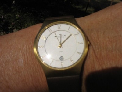 Skagen Denmark 233XXLGL Men s Stainless Steel Quartz Watch  Brown Leather Strap
