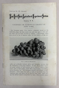 VINIFERA or EUROPEAN GRAPES in NEW YORK-Geneva N. Y.-Circular 101-March 1934