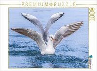 Calvendo Puzzle Perfekte Landung – Eleganz Auf Dem Wasser! | 1000 Teile Lege-Grö