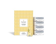 Tea Fortè Boîte 40 Pyramides Été Darjeeling Thé Noir Darjeeling Inde Bio