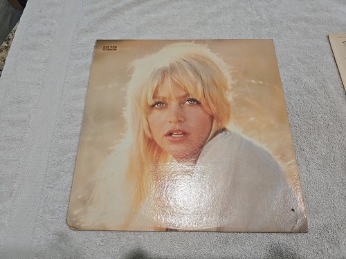 GOLDIE HAWN - GOLDIE - 1972 LP VINYL RECORD - Picture 10 of 19