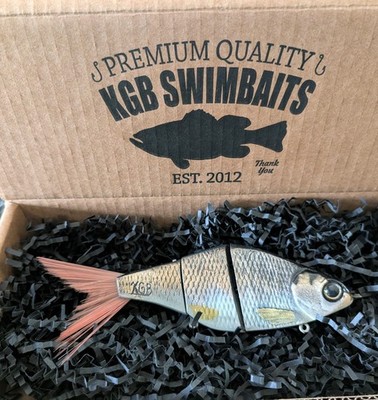 KGB Professor - Golden Redtail Shiner - Rare Color