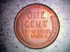 1950 P,1951 P, 1954 P, 1956 P Lincoln Wheat Cents Circulated. C5EN — photo 8