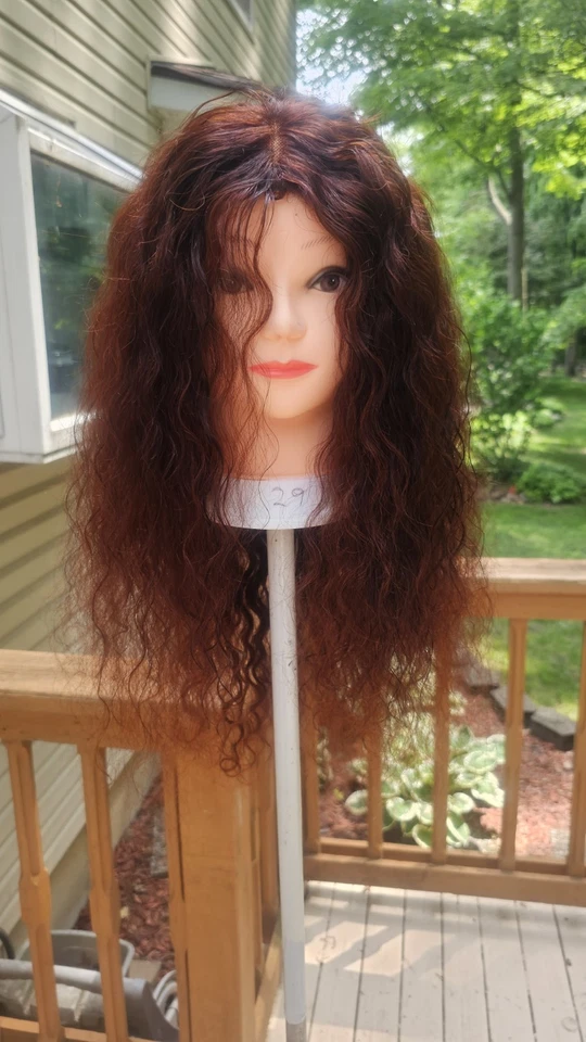 High-Quality Regular Top 24" Dark Red Wavy 150% Virgin Human Hair  Lace Wig  - Image 4 of 4