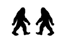 Sasquatch Sticker - Big Foot Decal - 2 Pack Set - Choose Color Size