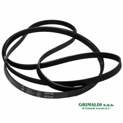 CINGHIA 1975 MM ASCIUGATRICE REX ELECTROLUX 1258288222 ORIGINALE