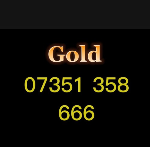 VIP Gold Mobile Number Easy Memorable SIM Platinum Diamond Business Lebara