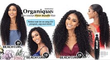 Shake-N-Go ORGANIQUE BEACH CURL