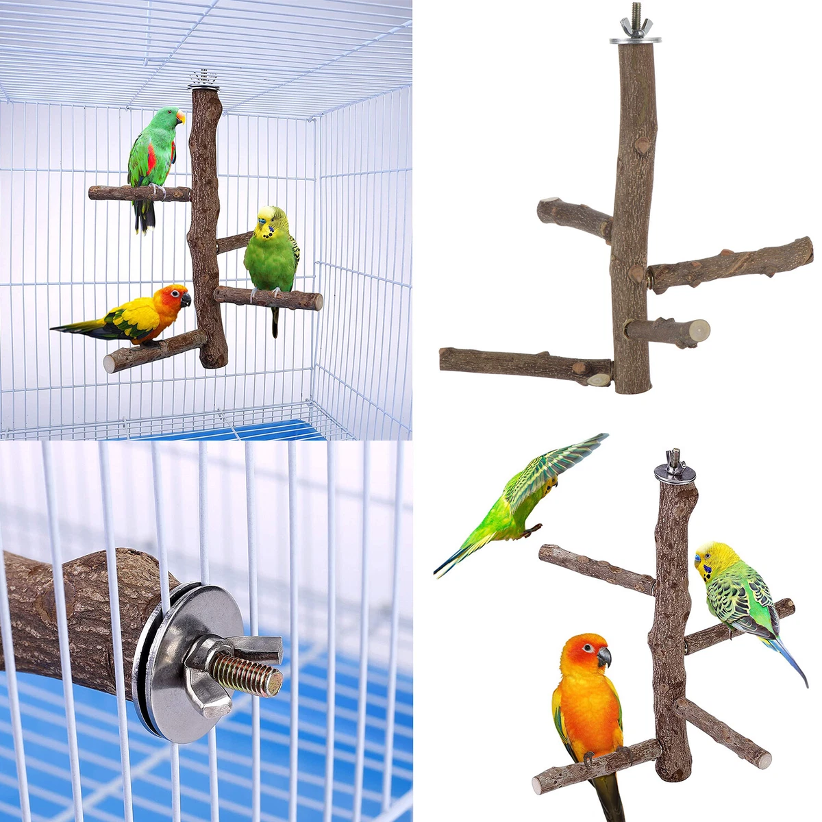Bird supply near me deals