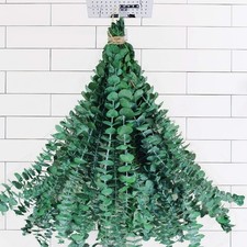 20 PCS Dried Preserved Eucalyptus for Shower, 17" Real Natural Fresh Hanging ...