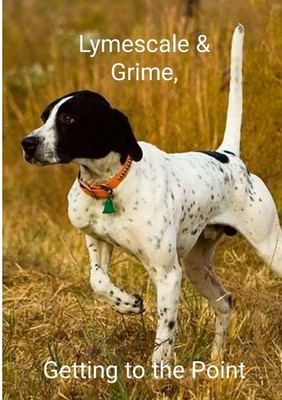 Lymescale & Grime, Getting to the Point Lymescale & Grime Book 6 Glyn Roy Buch