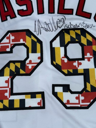 MLB Baltimore Orioles Welington Castillo Game Used/signed Maryland Pride Jersey - Picture 3 of 6