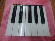 Korg PA1000 PA900 KROME-61 KROME-73 Octave Key SET  7xWhite 5xBlack Keys 