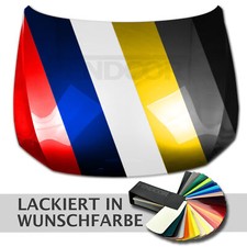 VW FOX 5Z1 bj. 04.05- Motorhaube neu in Wunschfarbe