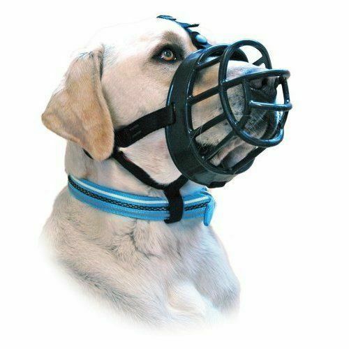 plastic dog muzzle