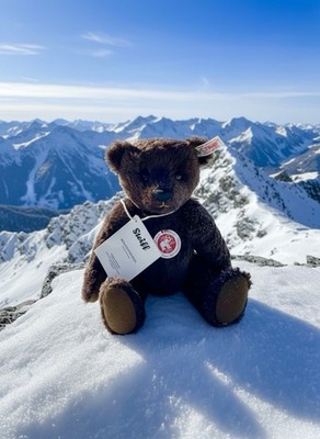 Steiff Teddybär 110th Anniversary PB55 26 Cm EAN 036293. Limitiert Zertifikat
