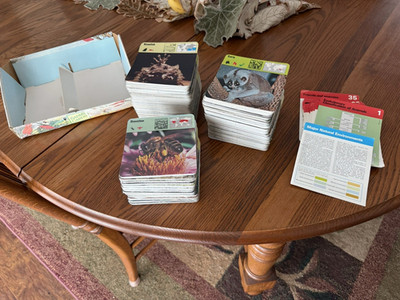 Vtg 70s Rencontre Wildlife Safari Cards Display Box 1,000 + 325 New 1-35 Divider