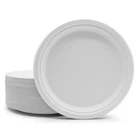 Bagasse Paper Plates 6 / 7 / 9 / 10 Inch White Biodegradable Sugarcane Dishes